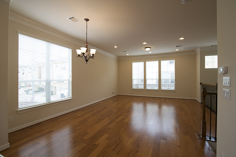 Contemporary Home Near The Texas Medical Center - Living Room